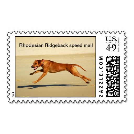 Standard Rhodesian