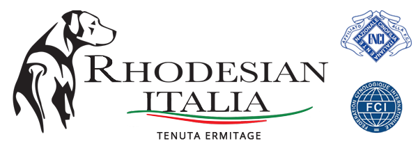 Rhodesian Italia