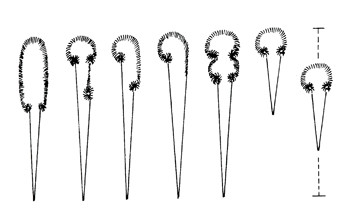 cresta nopn corretta